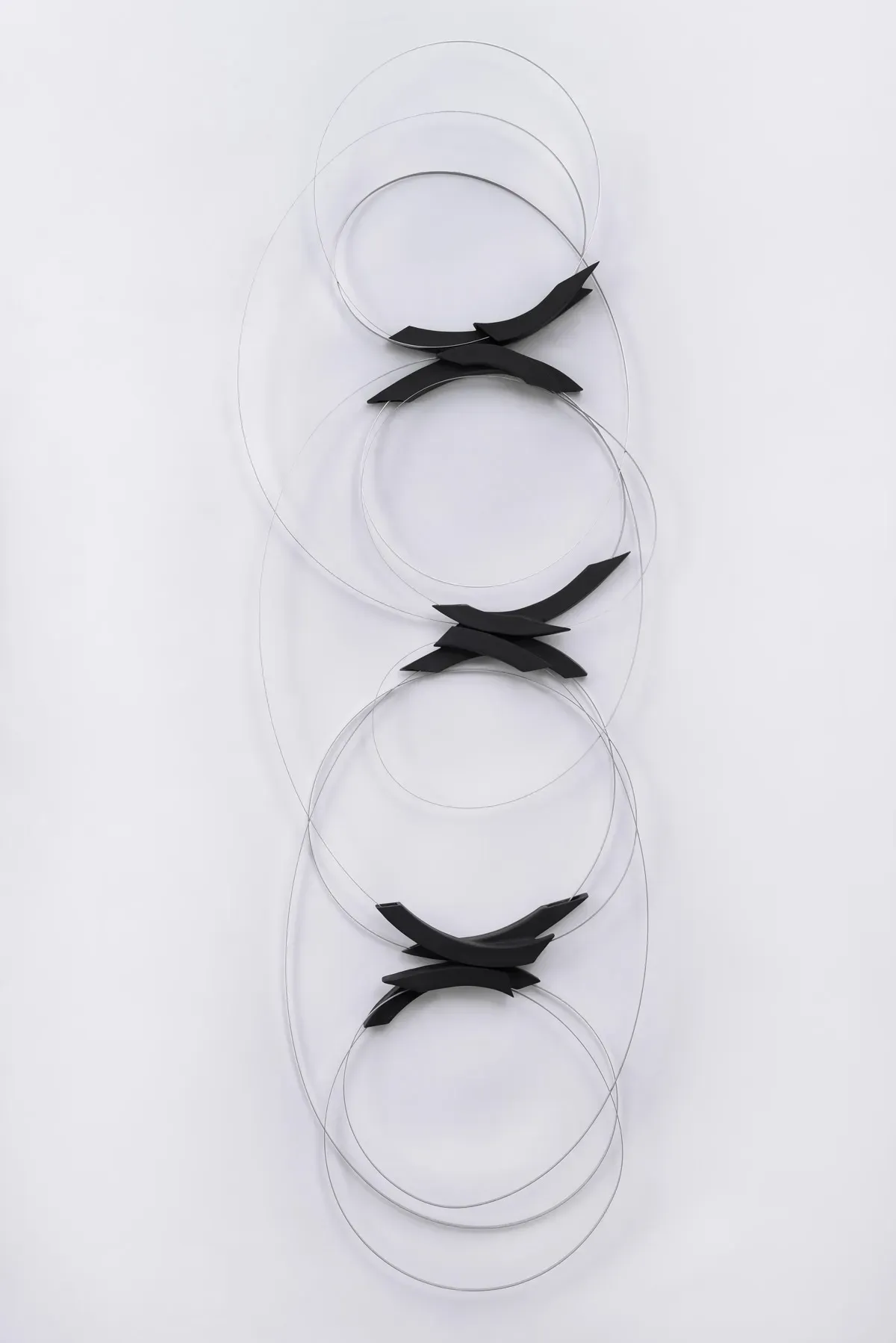 Deslocamentos Orbitais, Ana holck